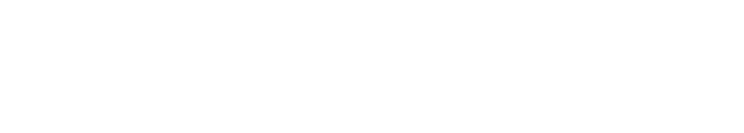 Segwise
